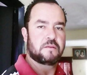 Luis barraza, 44 года, Culiacán