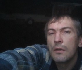 Роман Бекетов, 43 года, Кораблино