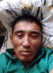 Таштан Токонбаев, 45 лет, Бишкек