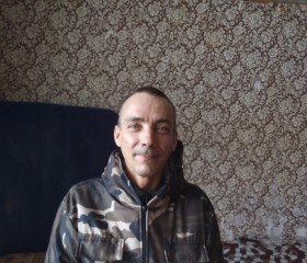 Александр, 43 года, Рудня (Смоленская обл.)