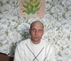 Владимир, 41 год, Тугулым