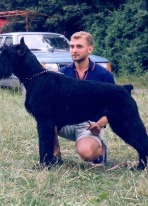 Goran, 51, Србија, Чачак