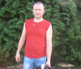 Сергей, 43 года, Рось