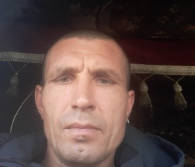Дмитрий Латкин, 42 года, Астана