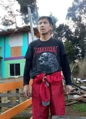 David из Temuco 54 года