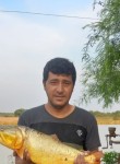 Guillermo, 38 лет, Ciudad de Resistencia