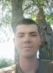Аркадий, 20 лет, Волгоград