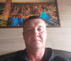 Сергей, 43 года, Нижняя Тура