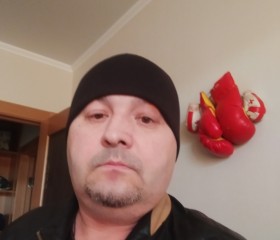 Denis, 49, Moscow