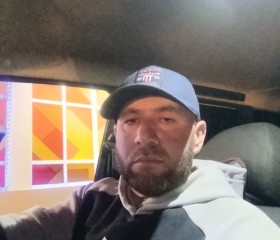 Cherkes, 39, Zelenchukskaya