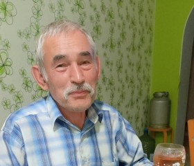 Zirek, 61 год, Кушнарёнково