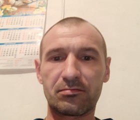 Александр, 43 года, Алматы