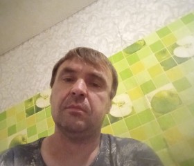 Андрей, 44 года, Кузнецк