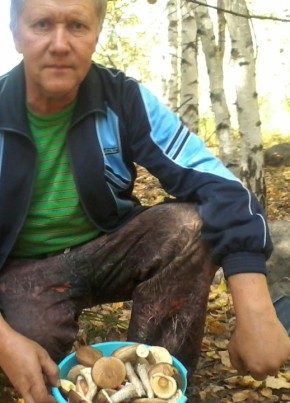 михаил, 67, Россия, Нижний Ломов