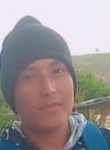 Wiliam, 25 лет, Otavalo