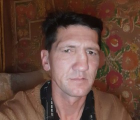 Александр, 46 лет, Горад Навагрудак