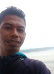 Surya, 29 лет, Kota Bandung