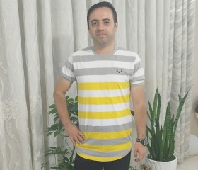 Behrouz, 39, Tehran