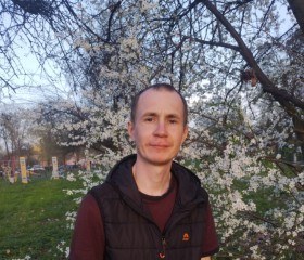 Maksym, 37, Clondalkin