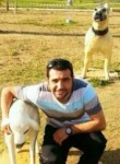 Murat gizli, 31 год