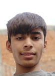 Shivam dwivedi, 19 лет, Indore
