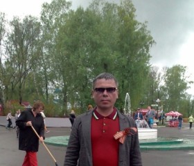 владимир, 45 лет, Саранск