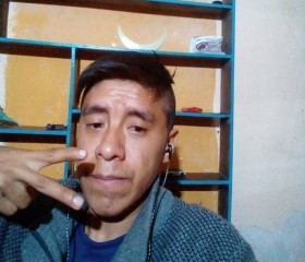 Alejandro Gámez, 26 лет, Puebla de Zaragoza