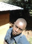 Nimbo, 20  , Nakuru