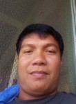 Rofel oasay, 38 лет, Tarlac City