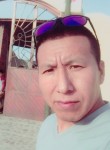 tiago, 37 лет, Antofagasta