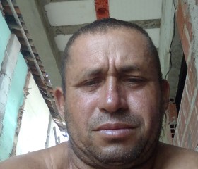 Loro, 45 лет, Cascavel (Ceará)