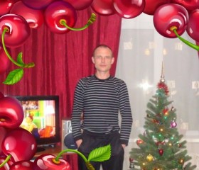 александр, 42 года, Брянск