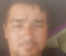 Sharof, 36 лет, Toshkent