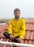 Mitahjaya, 31 год, New Delhi