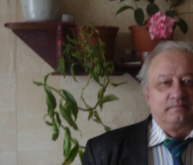 sergei, 64 года, Таврическое