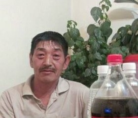 Gennadiy, 67 лет, 서울특별시