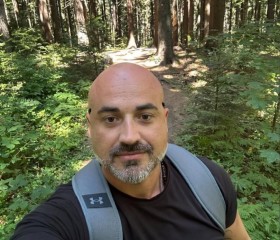 Dmitriy, 38, Dubai