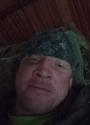 Николай, 46, Россия, Пено