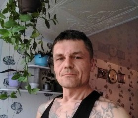 Михаил, 46 лет, Череповец
