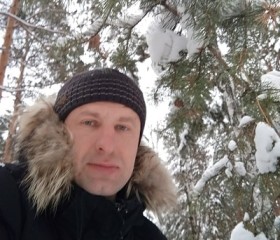 Анатолий, 41 год, Коркино