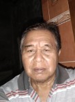 Widodo, 69 лет, Kartasura