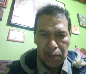 Tomas ortiz, 52 года, México Distrito Federal