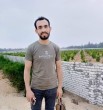 سالم العكور