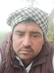 Ramesh moun, 25 лет, Kaithal