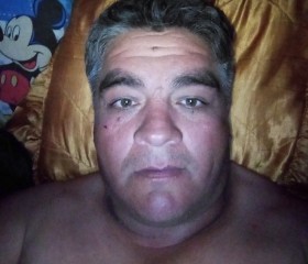 Pablo, 45 лет, Chillán