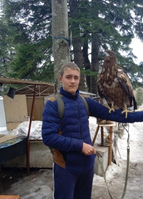 Андрей, 19, Россия, Воронеж