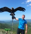 Алекс