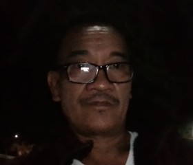 Henry. lee, 48 лет, Legaspi