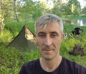Анатолий, 44 года, Pärnu