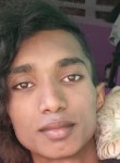 Tamil, 20  , Tiruvannamalai